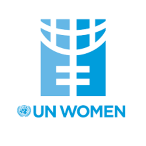 Establishment of UN Women