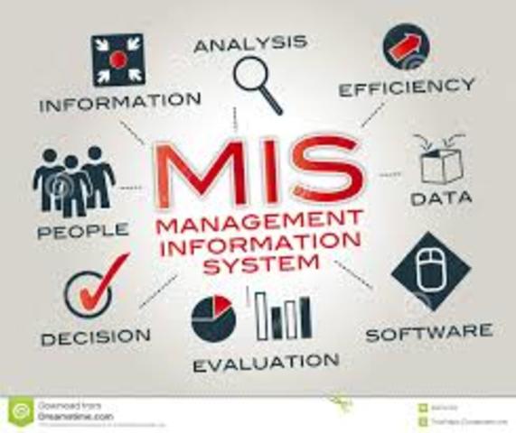 MANAGEMENT INFORMATION SYSTEM (MIS)