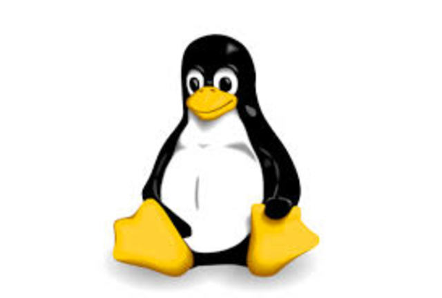 linux 2.6.36