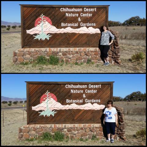 Morning Hike at Chihuahuan Nature Center