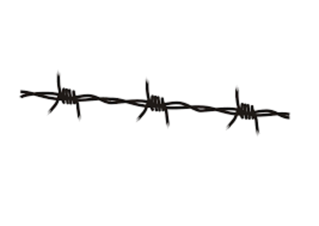 Barbed Wire
