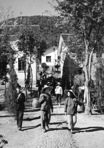 Great Leap Forward in China