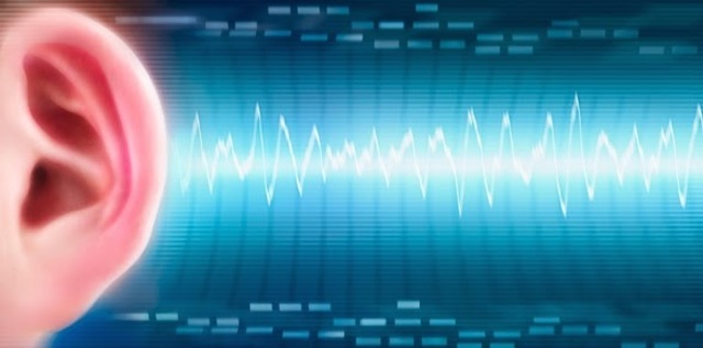 Exposición de "Excitabilidad eléctrica del oido humano".