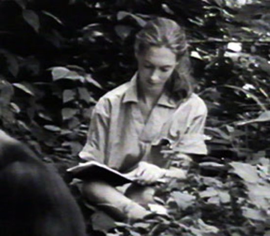 Goodall Writing her Observations in her Field Notebook