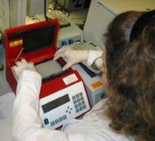 Publican Avances en regeneramiento de células ciliadas