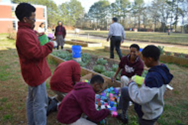 Cartons Around Champion MS