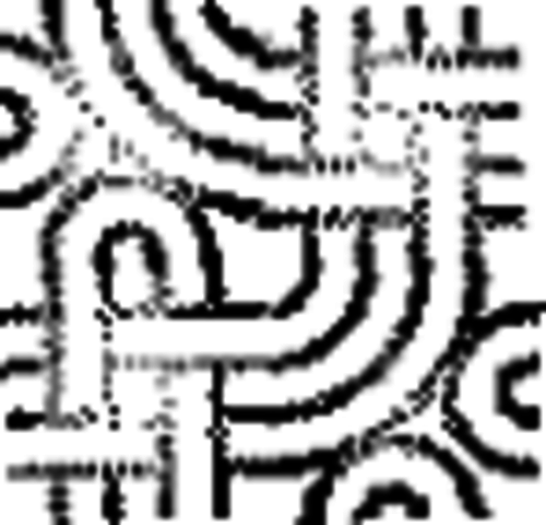 First Wiki introduced