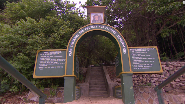 Gombe Stream Research Center