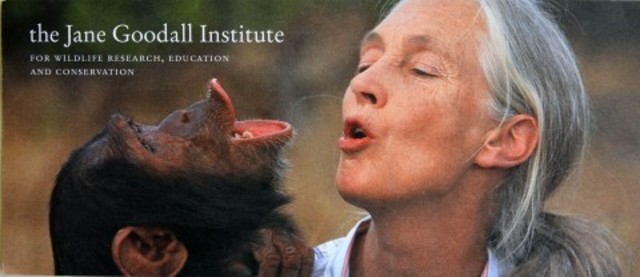 Jane Goodall Institute