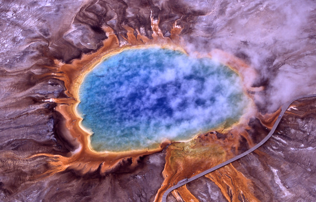 Extremophiles