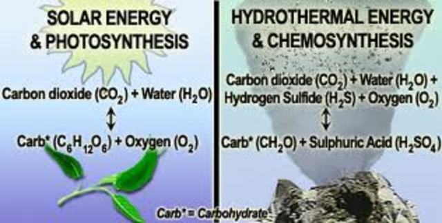 Chemosynthesis