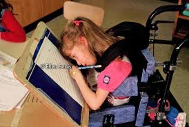 Getting to Know Rosa