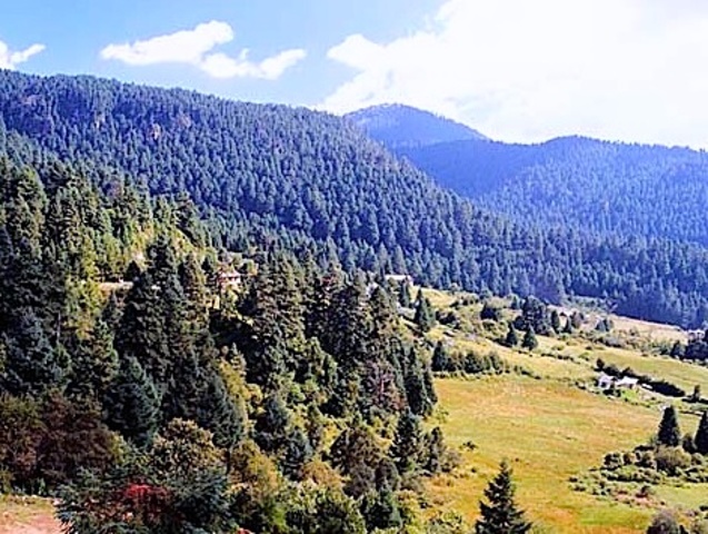 Insurgentes Miguel Hidalgo y Costilla. La Marquesa