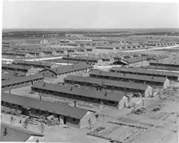 Japanese Internment