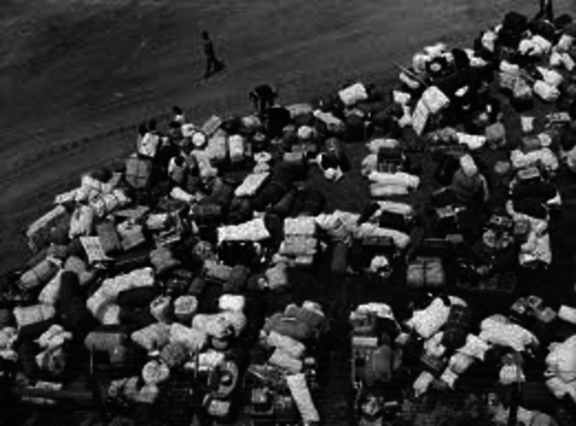 Japanese Internment (in US)