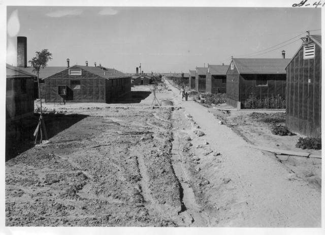 Japanese Internment (in US)