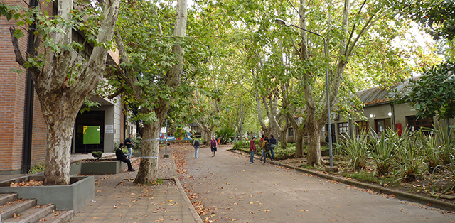 2001 y la Universidad.