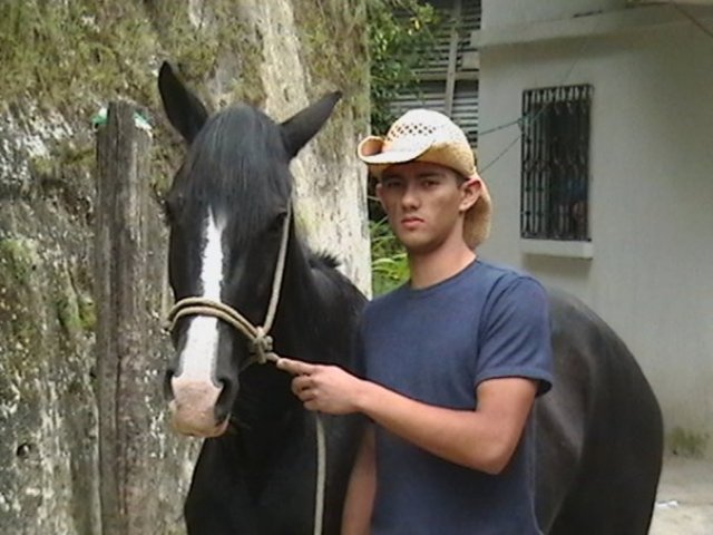 Gusto por los Caballos