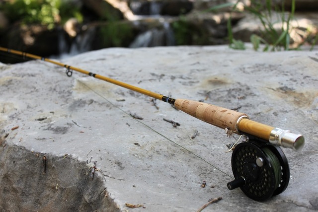 First Fly Rod