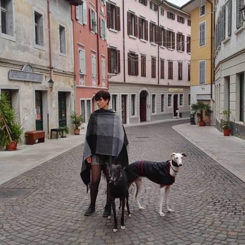 trasferimento a Gorizia