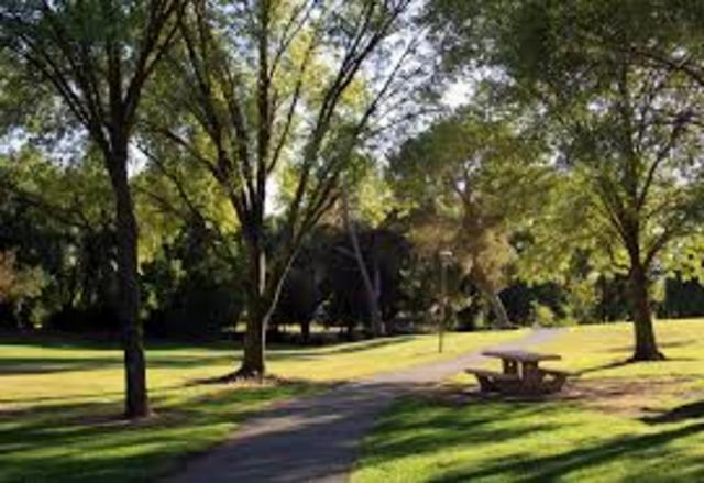 cleaning up the park