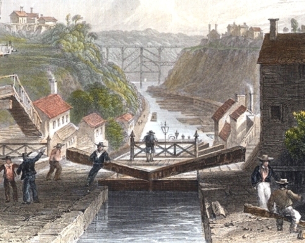 Emergence of the Canal System