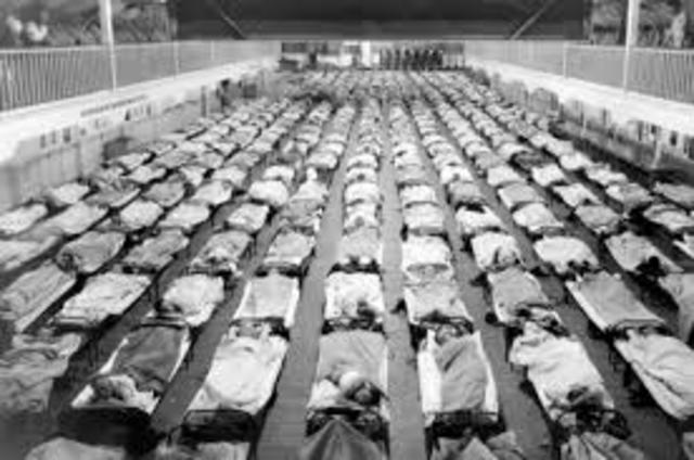 The End of the Great Pandemic*