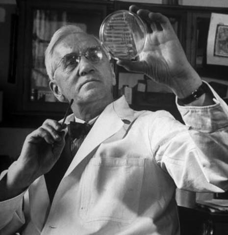 Scottish biologist Alexander Fleming discovers penicillin