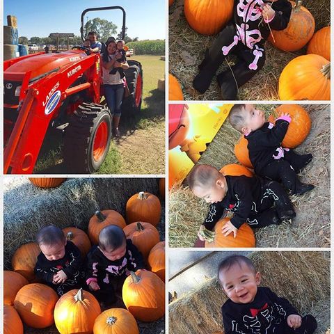 Pumpkin Patch