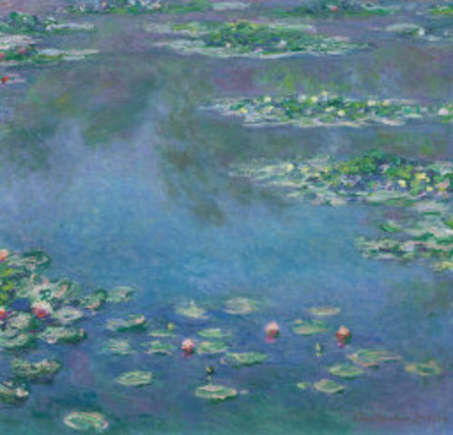Waterlilies