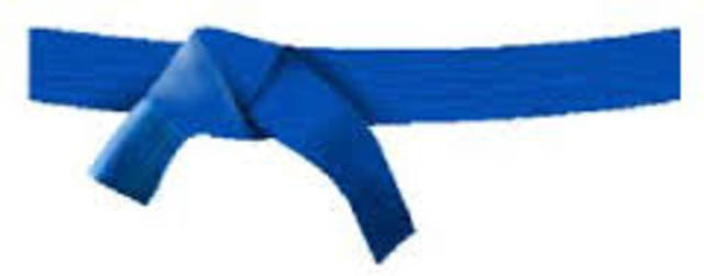 I became a blue belt