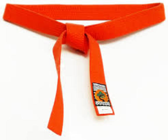 I became a orage belt