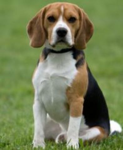 Event 3 -- The guardian