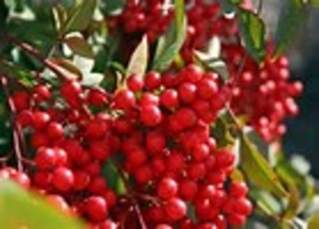 The Challenges Begin