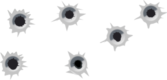 Event 10: Shots Fired