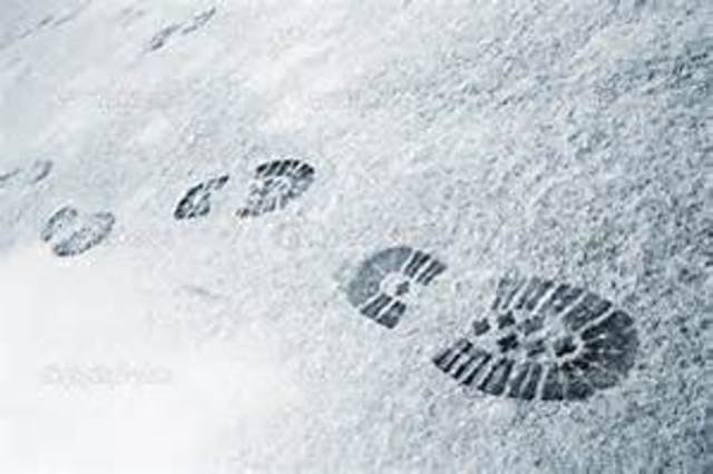 Brian Makes a Big Discovery