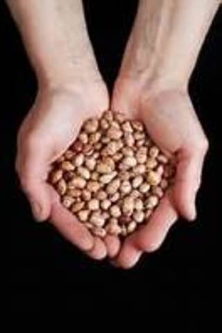 Things Are Not Looking Good