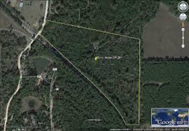 I moved to plantersville