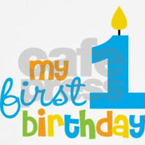 my dog turned 1 year old