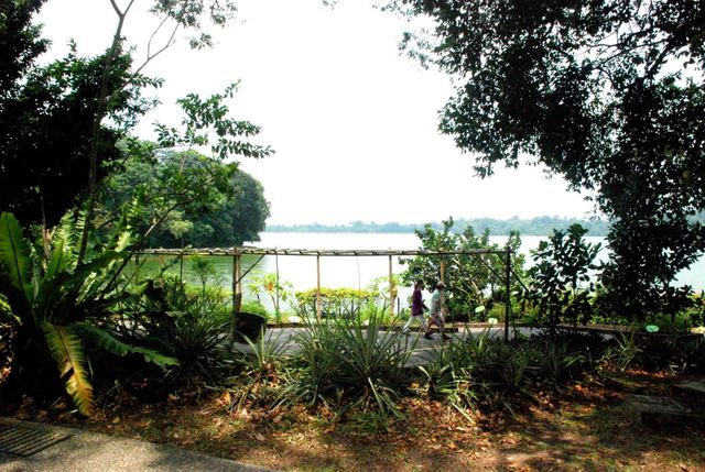 Setting and Characters