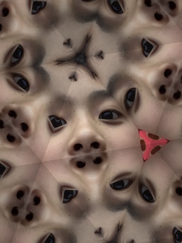 Michael Chang was born in New York City.