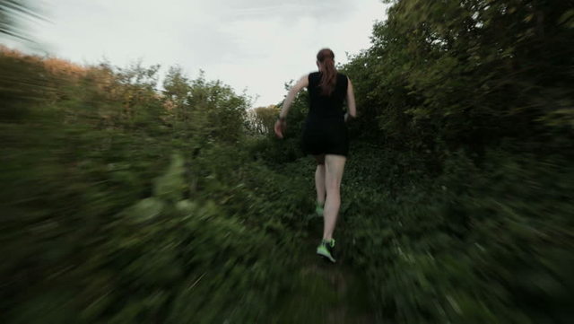 First Enconter With the Prince