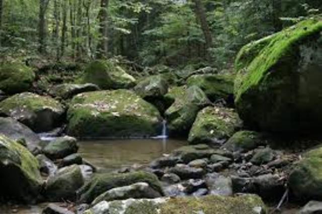 Event 7- The Charnel House and Deepwell