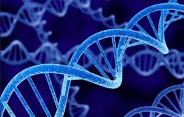 Descubrimiento de la secuencia del Genoma Humano