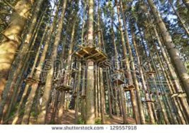 Event 6-The Ropes Course