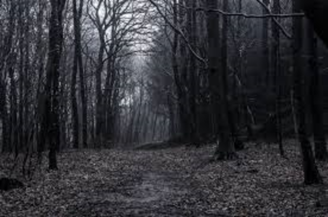 Event 7-Blaming Levi