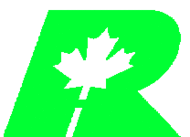 Reform Party Created