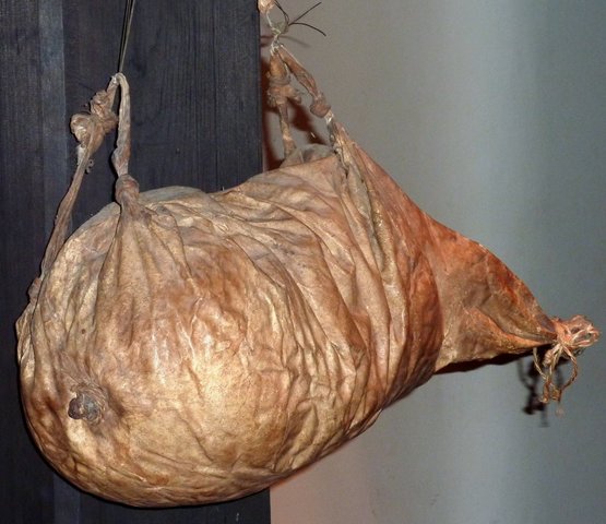 Casein, pig bladders used for storage of mixed paint