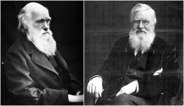 Darwin y Wallace