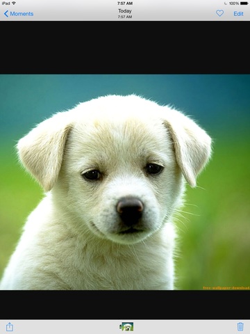 The first day I walked